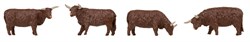 151958 Высокогорный скот, коричневый - фото 16398