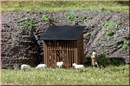 42636 Загончик для овец (2шт.) (H0/TT)